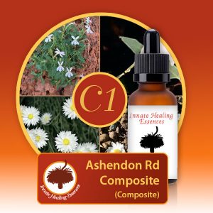 Composite Essences - Ashendon-Rd-Composite