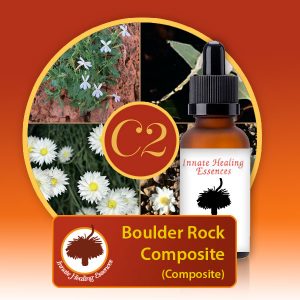 Composite Essences - Boulder-Rock-Composite