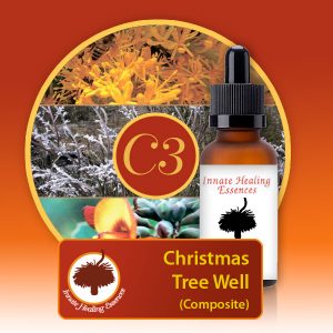 Composite Essences - Christmas-Tree-Well