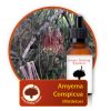 Amyema-Conspicua Innate Healing Essences - Individual Essences