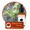 Anigozanthus-flavidus Innate Healing Essences - Individual Essences