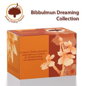Kits - Bibbulmun-Dreaming-Collection