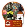 Bibbulmun-Dreaming-Male Innate Healing Essences - Individual Essences