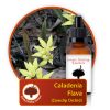 Caladenia-flava Innate Healing Essences - Individual Essences