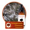 Conospermum-cinoreum Innate Healing Essences - Individual Essences