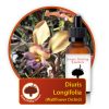 Diuris-longifolia Innate Healing Essences - Individual Essences