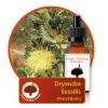 Dryandra-sessilis Innate Healing Essences - Individual Essences