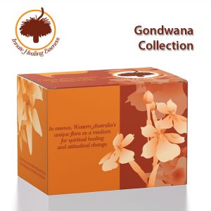 Kits - Gondwana-Collection
