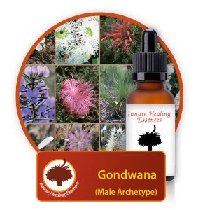 Gondwana-Male-Archetype Innate Healing Essences - Individual Essences