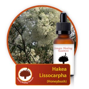 Hakea-lissocarpha Innate Healing Essences - Individual Essences