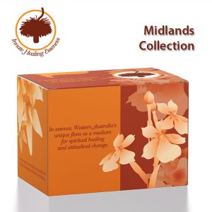 Kits - Midlands-Collection