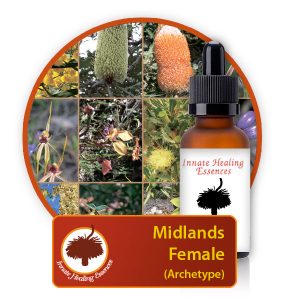 Midlands-Female-Archetype Midlands-Female-Archetype Innate Healing Essences - Individual Essences