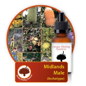 Midlands-Male-Archetype Innate Healing Essences - Individual Essences