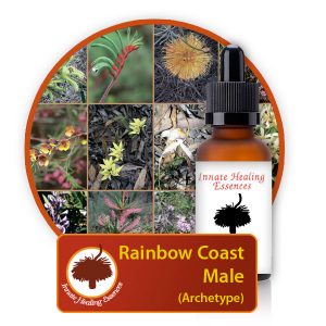 Rainbow-Coast-Male Innate Healing Essences - Individual Essences