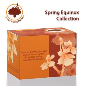 Kits - Spring-Equinox-Collection