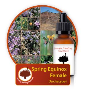 Spring-Equinox-Female Innate Healing Essences - Individual Essences