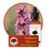 Stylidium-glaucum Innate Healing Essences - Individual Essences