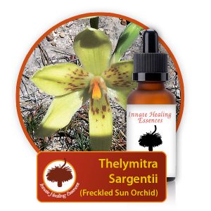 Thelymitra-sargentii Innate Healing Essences - Individual Essences
