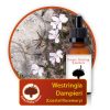 Westringia-dampieri Innate Healing Essences - Individual Essences