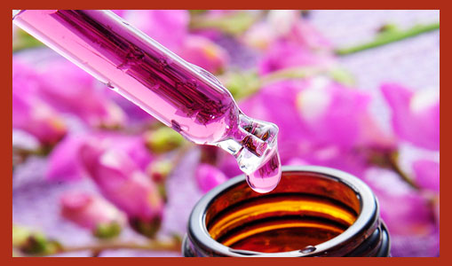 Flower Essence Therapy - Innate Healing Essences